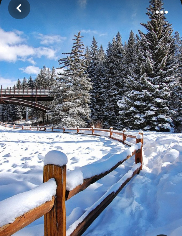 Screenshot_20231017_191232_Pinterest