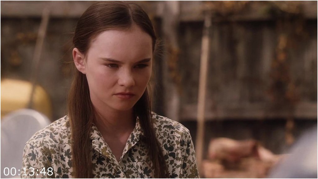 Flipped-2000-FHDMastered-Hevc1080p-Blu-Ray-English-CZ-PHDTeam.jpg