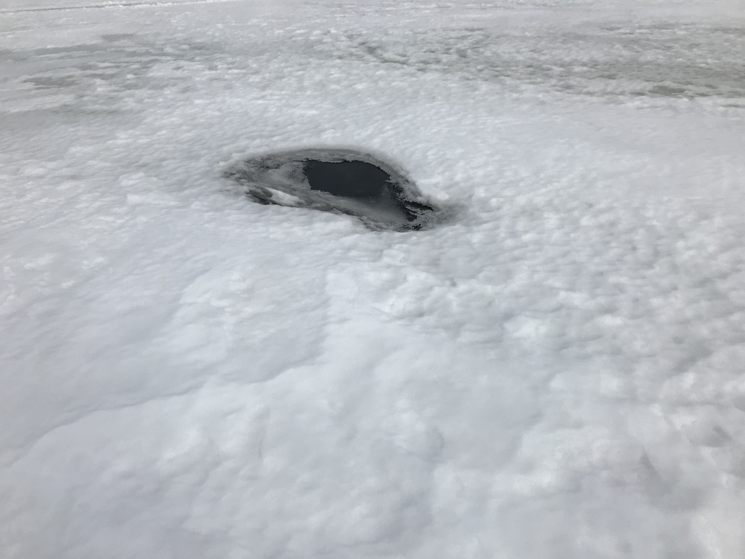 AA581CF0-ABFA-42D2-8D56-38DDAD83D8FA