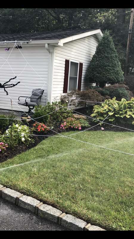 C5574C5B-051C-48E1-8B6C-C5CBD9625143