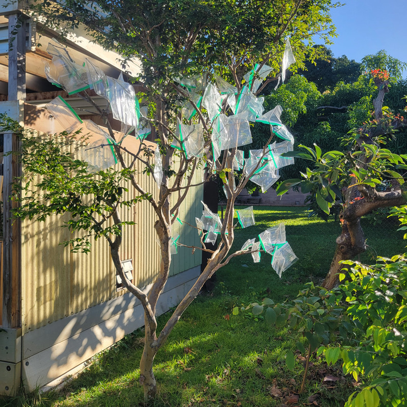 17642695743617442970917169181638