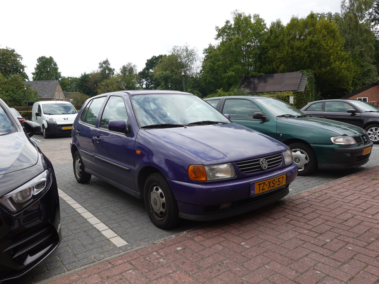 DSC00624-1.jpg