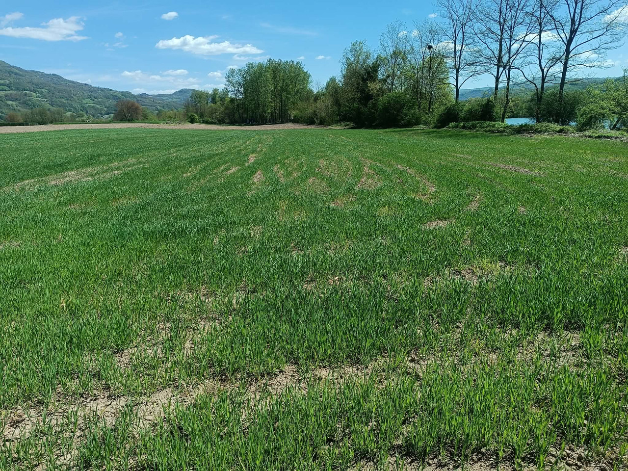 ZOB-24-APRIL-2.jpg