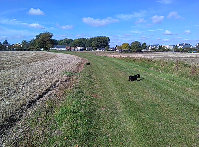 [Image: PANO-20211012-121240.jpg]