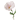 Alt tag