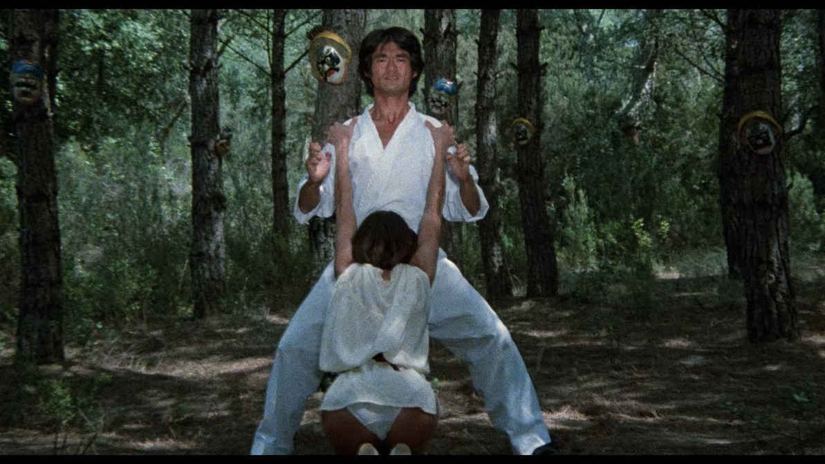 Ninja in the Claws of the CIA 1981 1080p BluRay x265 HEVC 10bit EAC3 2 0 SAMPA QxR