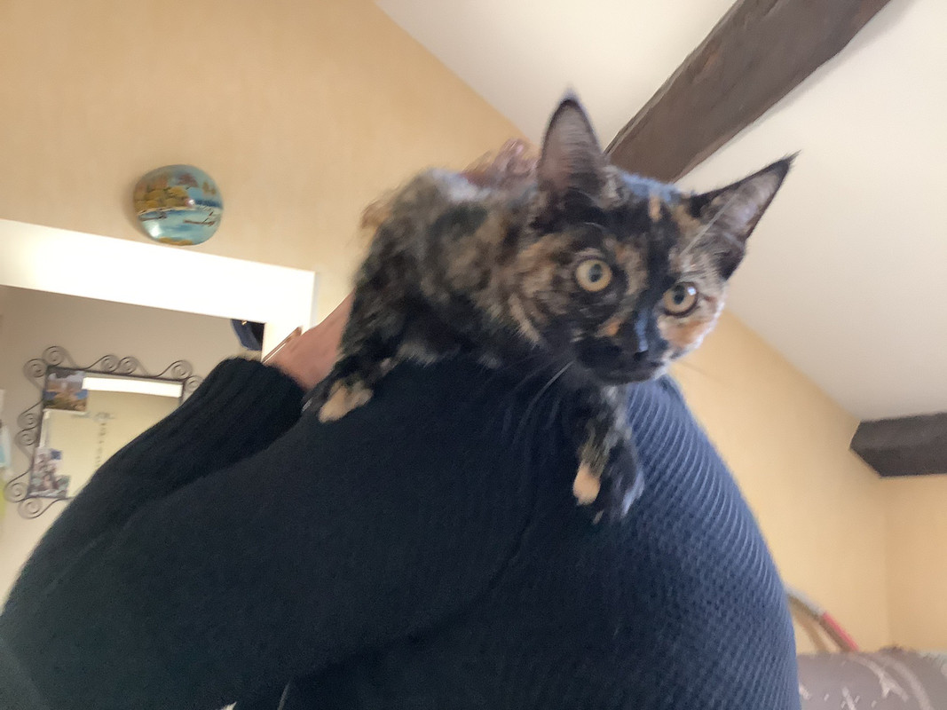 B84FAE17-EB03-4CF3-A456-114A58C28158