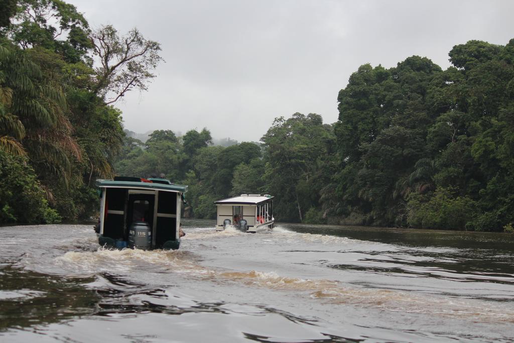 DIA 2: LLEGADA A TORTUGUERO - DE TORTUGAS Y PEREZOSOS. COSTA RICA 2019 (13)