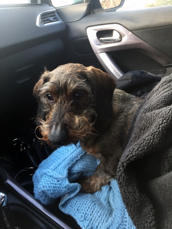 [Image: IMG-1184.jpg]