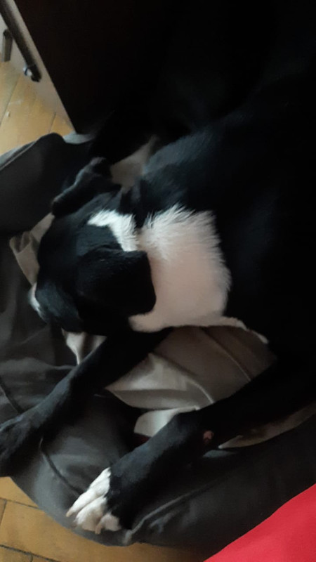 F6527AEC-6D6A-4895-8286-F22CC9B1309B