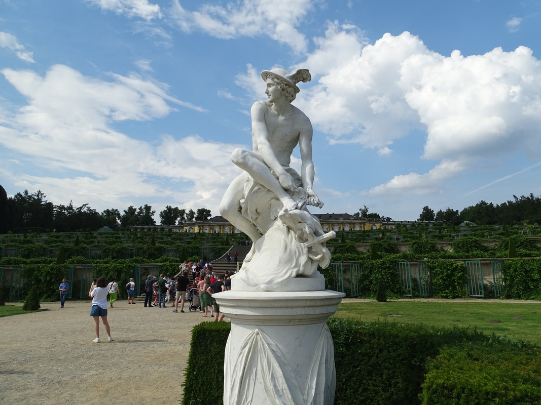 DSC00429.jpg