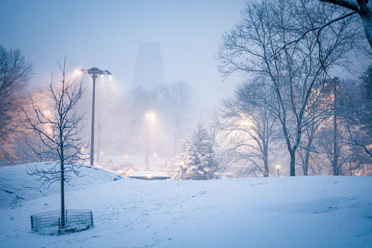 central park snow (12)
