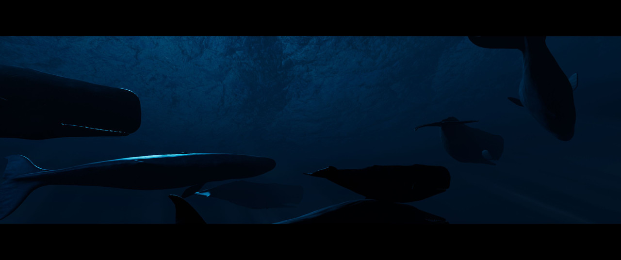 Beyond-Blue-Screenshot-2024-02-03-18-15-