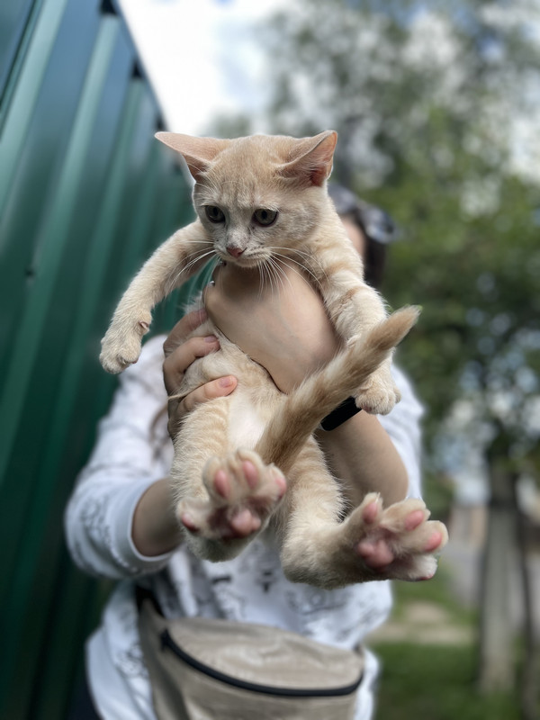 AC5F25B2-E20D-40E1-9EE4-F925FB009C89