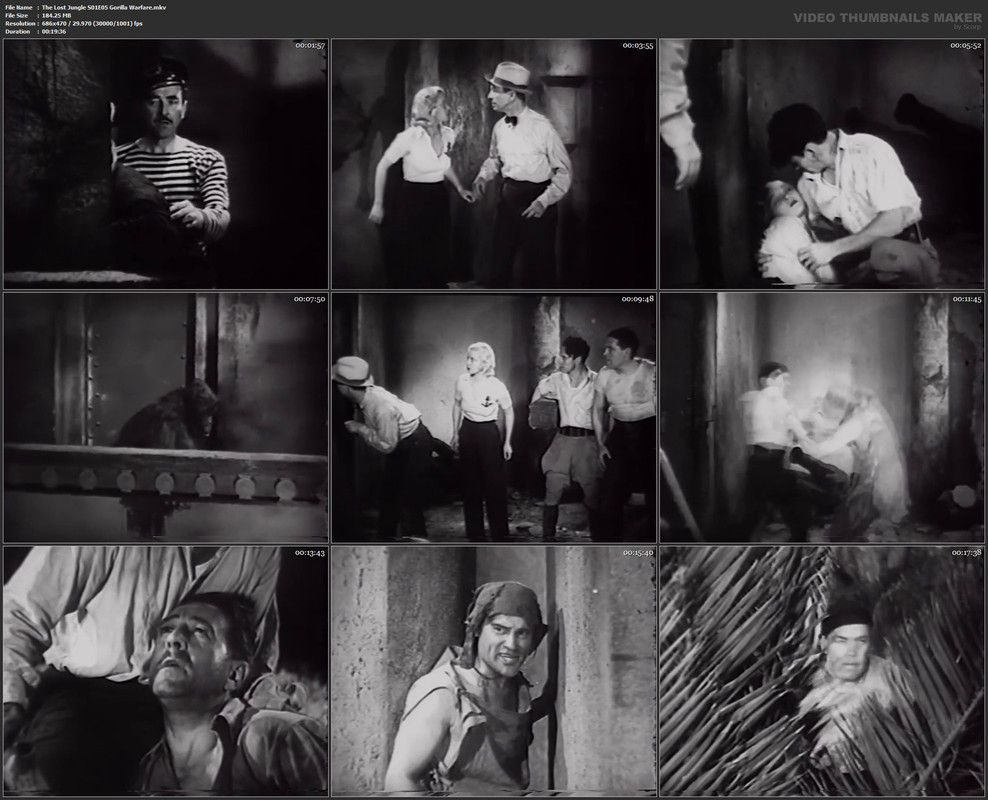 The Lost Jungle S01E05 Gorilla Warfare.mkv