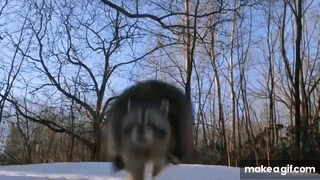 7Mp25B.gif