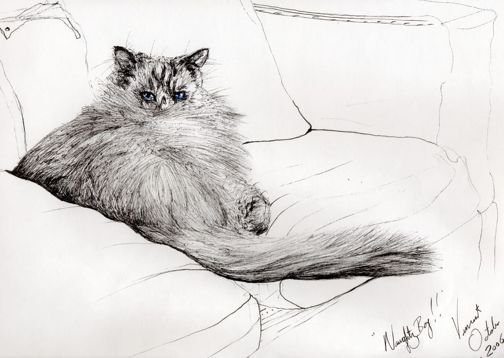 Vincent-Alexander-Booth-naughty-boy-2006-Ink-on-paper-Meister-Drucke-371705