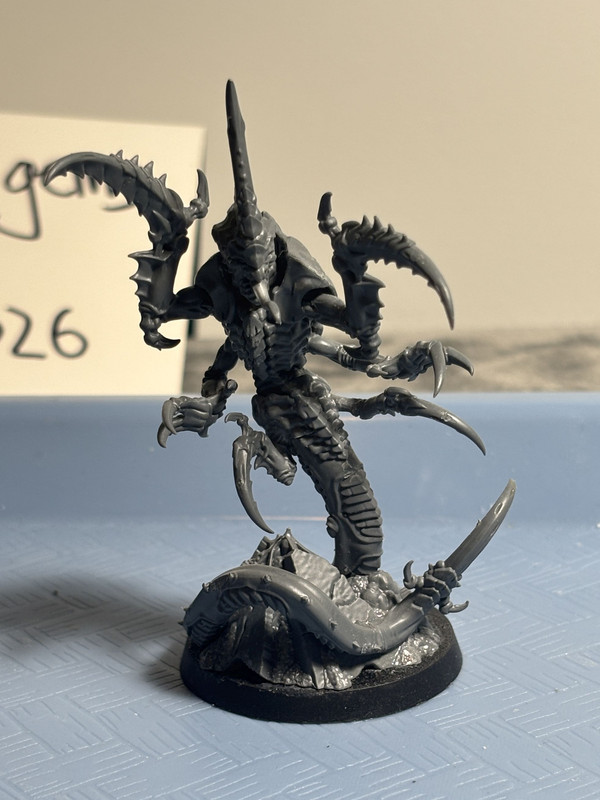 Tyranids Raveners 18