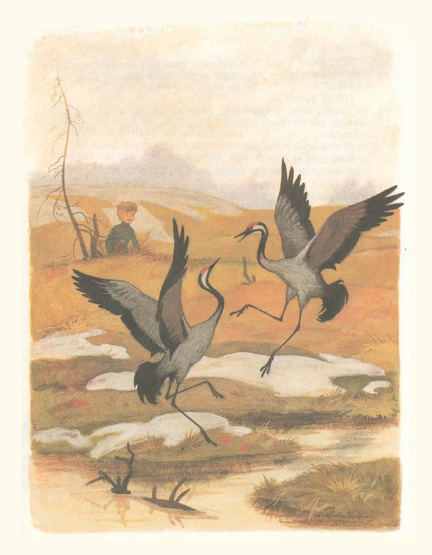 Romanovskij-Stanislav-Aloshino-lukoshko-1985-page-0022