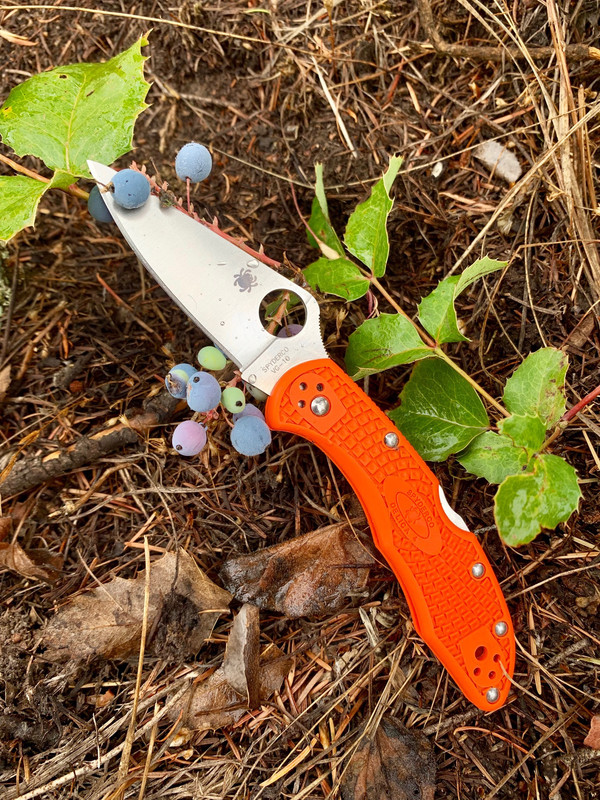 002B9F30-426E-481C-92C9-DB825B5F6E73