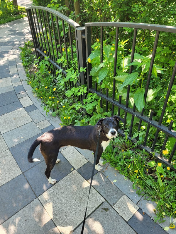 16645AE7-36BC-448D-A9B8-7014827E83BC