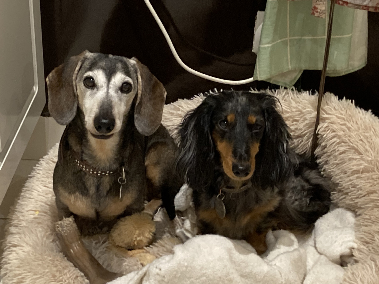 [Image: IMG-4142.jpg]