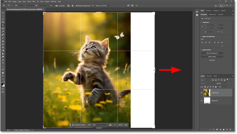 extend-canvas-right-side
