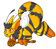 IMG-5301.png