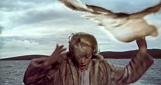 THE-BIRDS-ATTACK-1-FOTOR.jpg