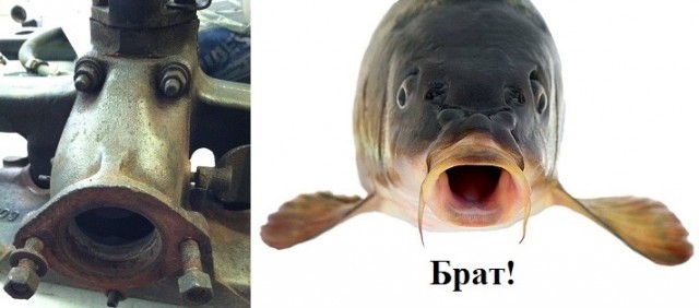 20408720.jpg