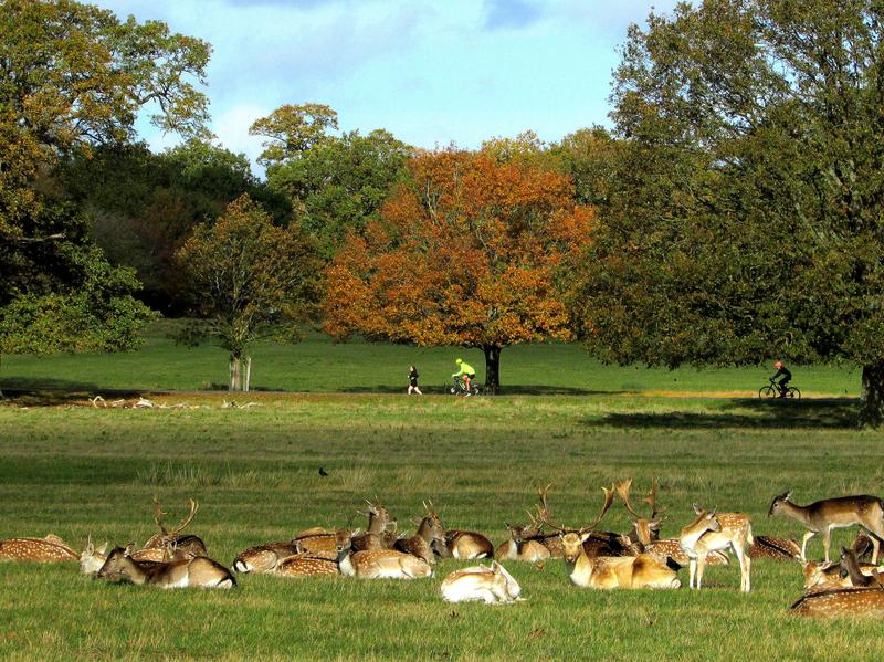 Punto de encuentro de las Galerias de Fotos y Fotografia - Foro General de Viajes