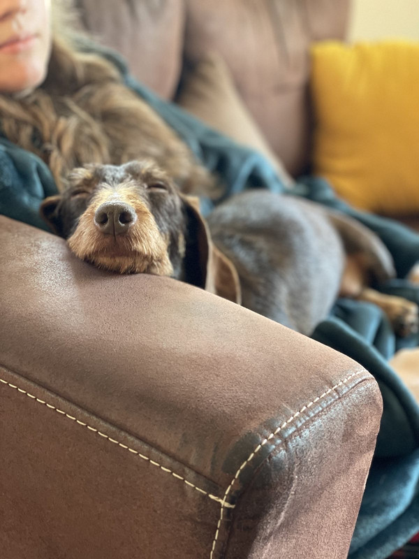 [Image: IMG-4629.jpg]