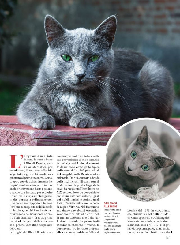 Ga Ma Giu-Lug 2025 (6)