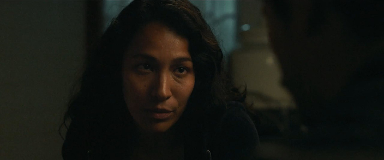 The Gringo Hunters (2025) Season 1 [Hindi + English] WebRip 480p 720p ESub - Complete Screenshot