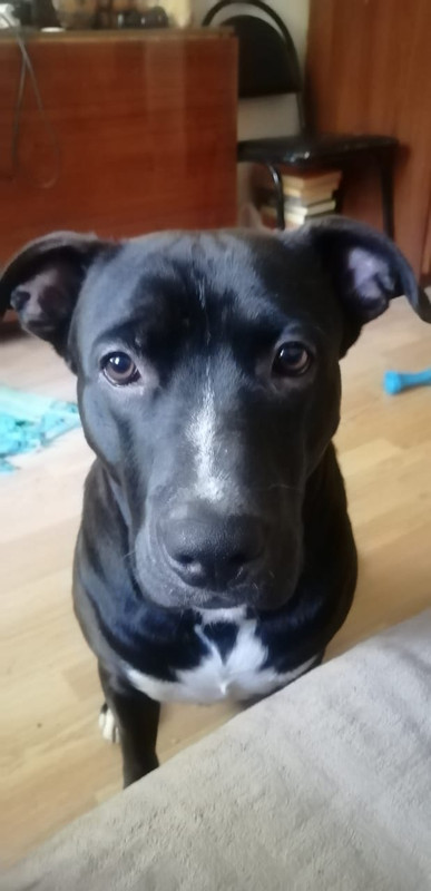 4C4F6628-27B7-4C3D-A06B-3E4252F0C510