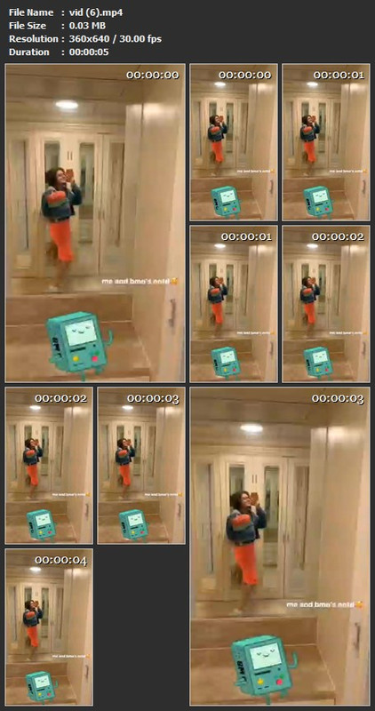 vid (6).mp4