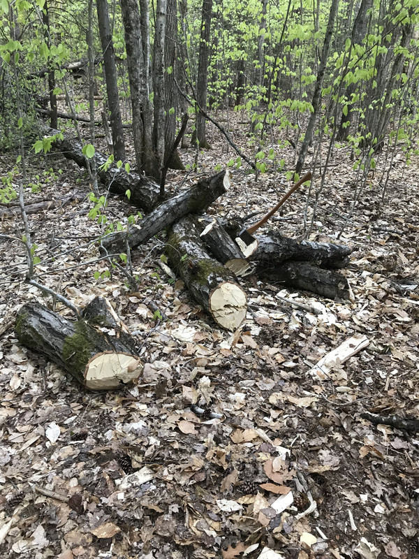 00425F4A-440A-40B0-8CCE-AAB25CA44DBF