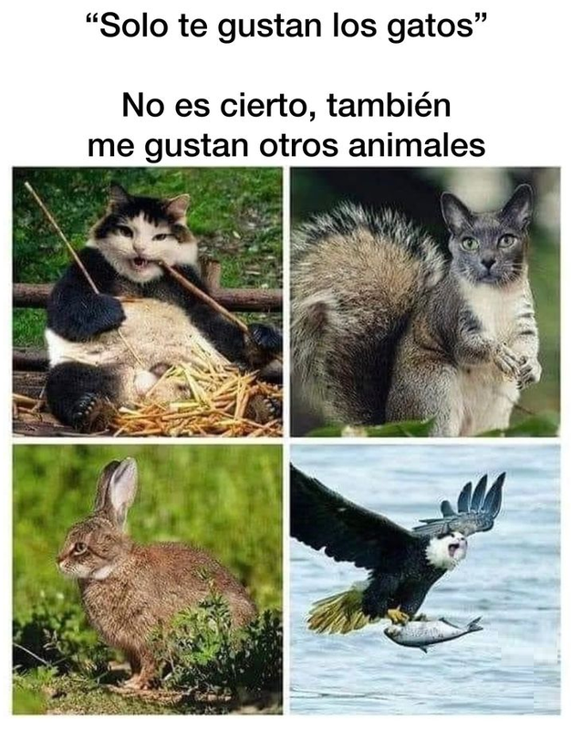 otros-animales.png