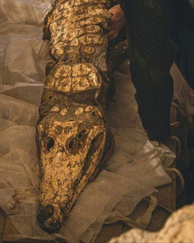 Королева Румынии Мария, 1896 год