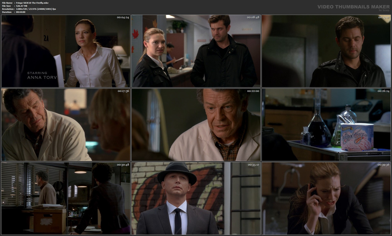 Fringe S03E10 The Firefly.mkv