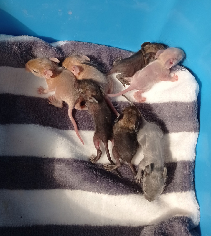 5cRsxVgYfAePNO9SQXc_CqzriDfN7UU4knW6PlwFHtCpLnGbmkGnbiS4RRbAoKIHCwca9Jt0mkxN1D1zACDffv5w