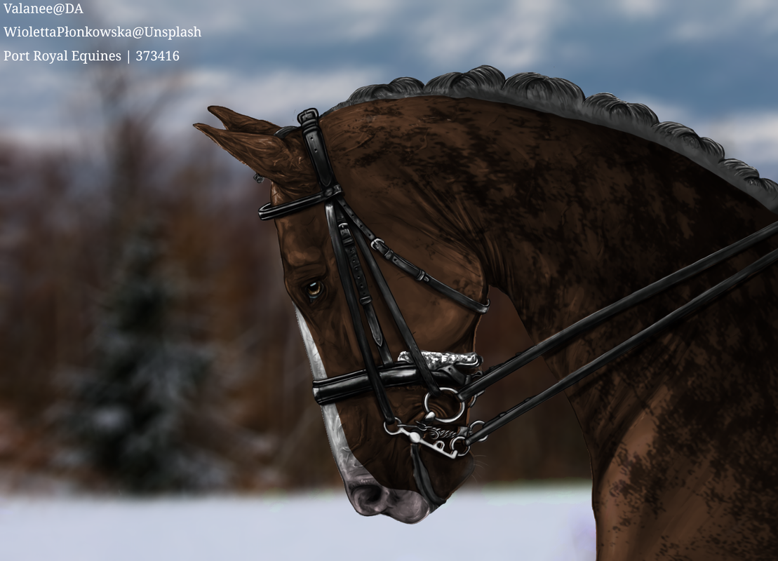 grayscale-dressage-by-valanee-d4ifq8a2-2024-05-03-09-39-20241028234742.png