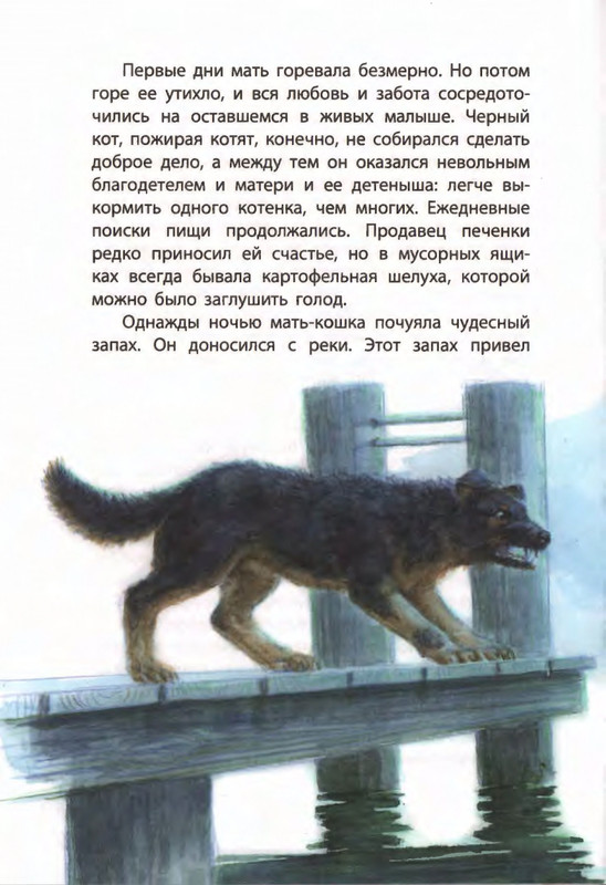 2019-page-0012