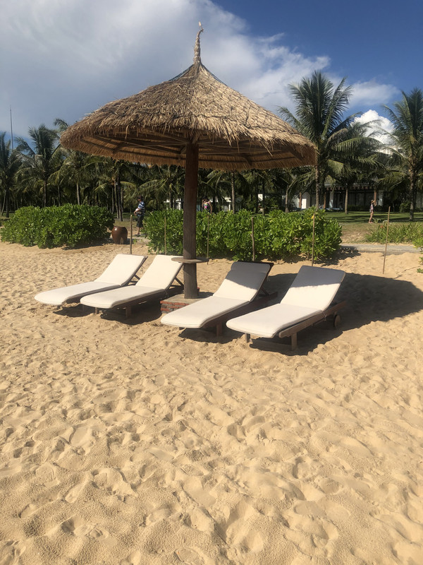 46CE19F8-FAB9-4A1C-8D3B-3F6EFA87DDBC