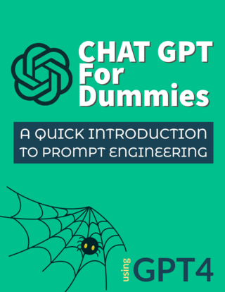 Chat GPT for Dummies: A Quick Introduction to Prompt Engineering!