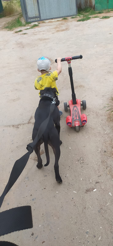 EB78C8E0-03A7-4B43-AE21-E10945A29043