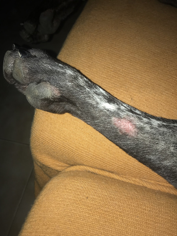 B2889789-F0C5-46C8-BE45-53B512D3A60F