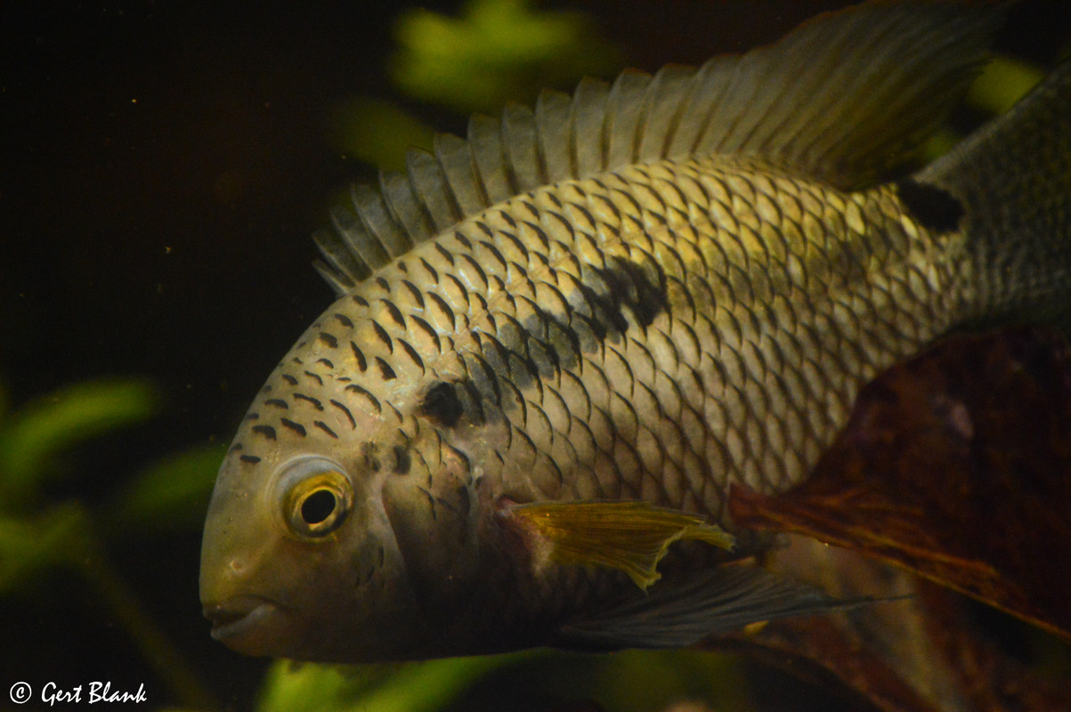 6CC299BF-4E6F-433F-BBFE-BA6CB5A71BEA