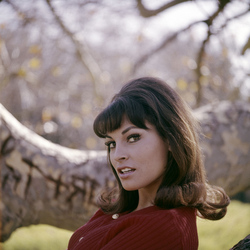 raquel_welch_e50