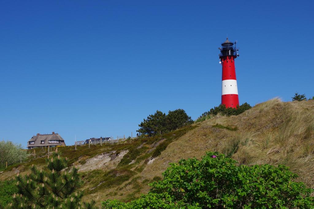 IMGP1027